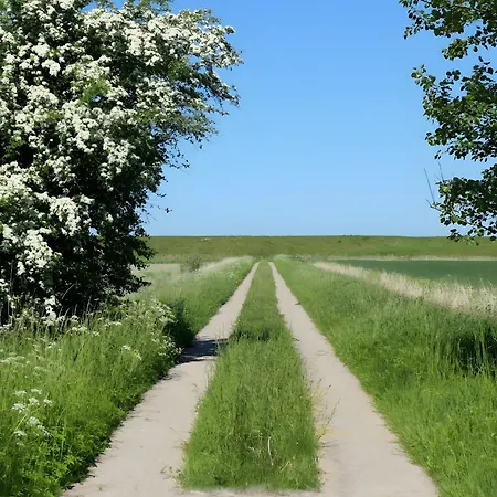 Gaensehaus Karolinenkoog